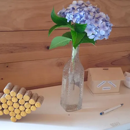 A Nave De Ferreira Ferreira (Lugo)